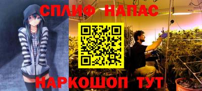 трава Новозыбков