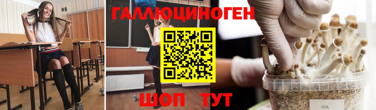 где можно купить наркотик  Вход с VPN  Псилоцибиновые грибы Psilocybine cubensis  Саяногорск  Галлюциногенные грибы мухоморы 